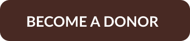 become a donor button